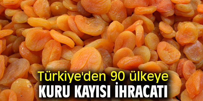 Türkiye'den 90 ülkeye kuru kayısı ihracatı