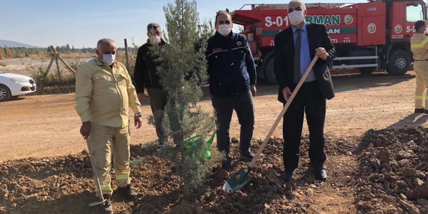Kemalpaşa'da fidan dikildi!