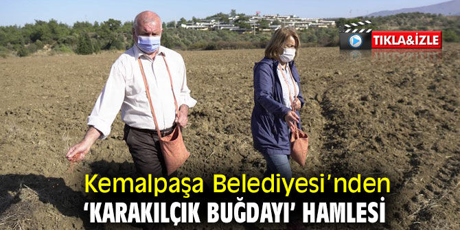 Kemalpaşa Belediyesi’nden ‘Karakılçık Buğdayı’ hamlesi 