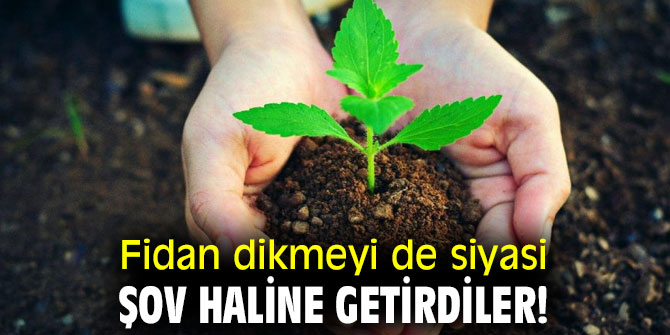 Fidan dikmeyi de siyasi şov haline getirdiler!