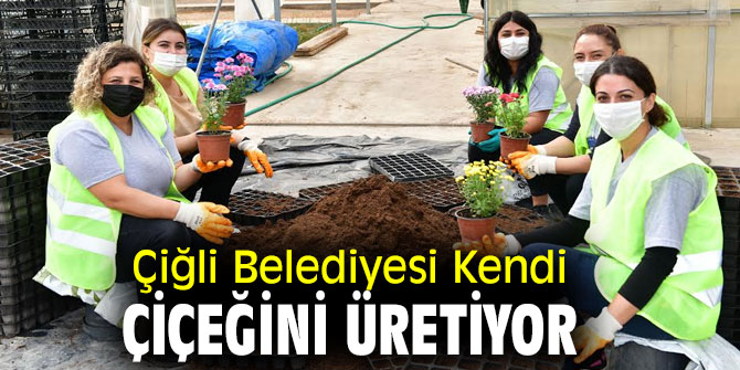Çiğli Belediyesi, çiçek üretiyor