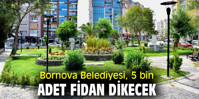 Bornova Belediyesi, Daha yeşil bir Bornova için çalışıyor!