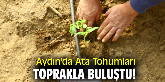 Aydın'da Ata Tohumları toprakla buluştu!