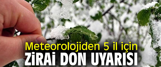 Meteoroloji 5 ili zirai don için uyardı! 