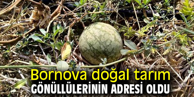 Yakaköy’deki Doğal Tarım Çiftliği büyük ilgi görüyor