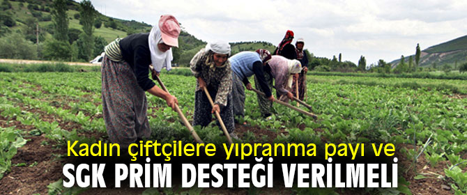 Kadın çiftçilere yıpranma payı ve SGK Prim desteği verilmeli