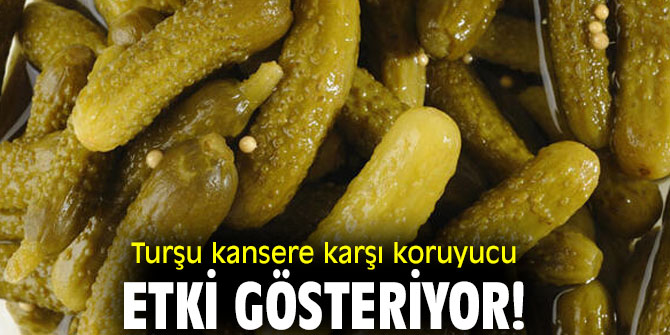 Turşu kansere karşı koruyucu etki gösteriyor!