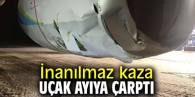 İnanılmaz kaza! Uçak ayıya çarptı