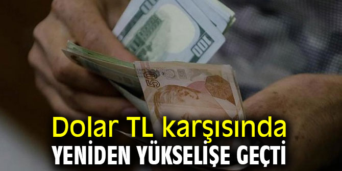 Dolar yeniden yükselişe geçti