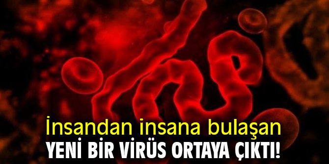 İnsandan insana bulaşan yeni bir virüs ortaya çıktı! 