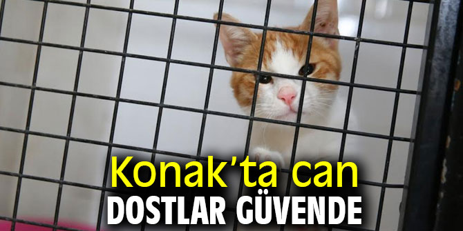 Can dostlar Konak’ta güvende