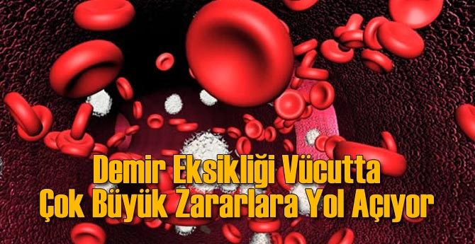 Demir Eksikliği Vücutta Büyük Hasara Yol Açıyor
