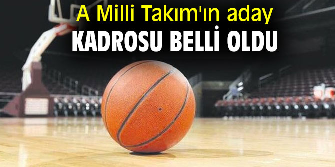 A Milli Erkek Basketbol Takımı'nın aday kadrosu belli oldu