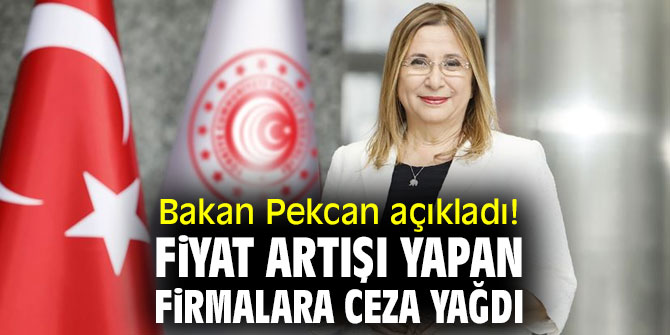 Bakan Pekcan'dan flaş ceza açıklaması!