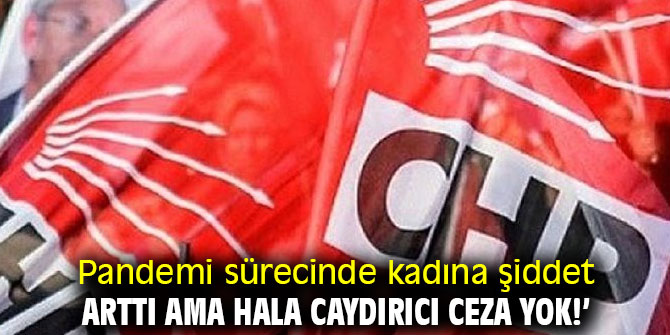 Beko, "Pandemi sürecinde kadına şiddet arttı ama hala caydırıcı ceza yok!"