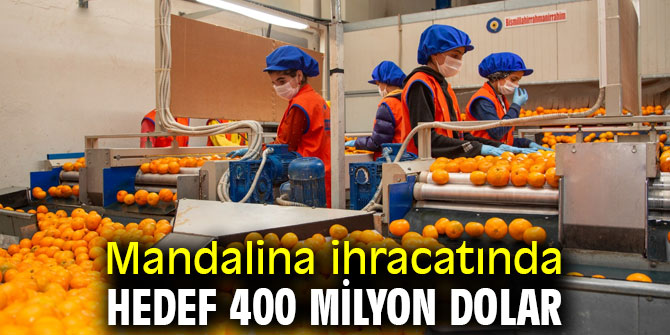 Türkiye, 1 ayda 110 milyon dolarlık mandalina ihraç etti