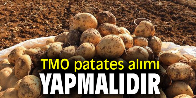 TMO patates alımı yapmalıdır