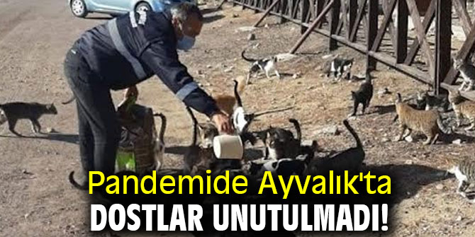 Pandemide Ayvalık'ta dostlar unutulmadı! 