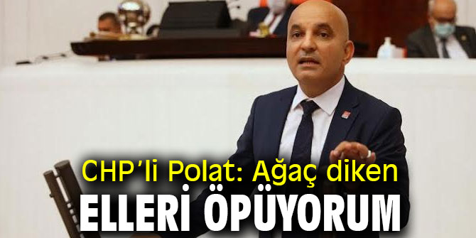 CHP’li Polat, "Ağaç diken elleri öpüyorum"