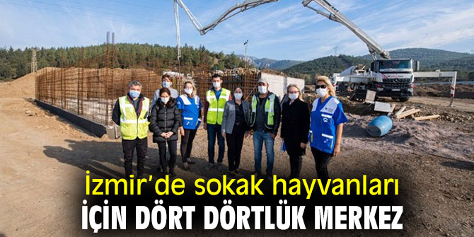 Büyükşehir'den sokak hayvanları için dört dörtlük merkez