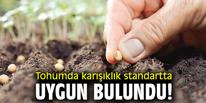 CHP'li Gürer, "Standartlara uygun skandal!"