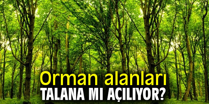 CHP'li Gürer, “Orman alanları talana mı açılıyor”