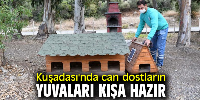 Kuşadası'nda can dostların yuvaları kışa hazır