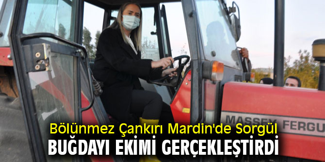 Bölünmez Çankırı Sorgül Buğdayı Ekimi Gerçekleştirdi