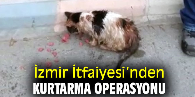 İzmir İtfaiyesi’nden kurtarma operasyonu
