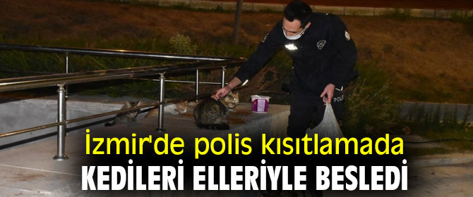 İzmir'de polis kısıtlamada kedileri elleriyle besledi