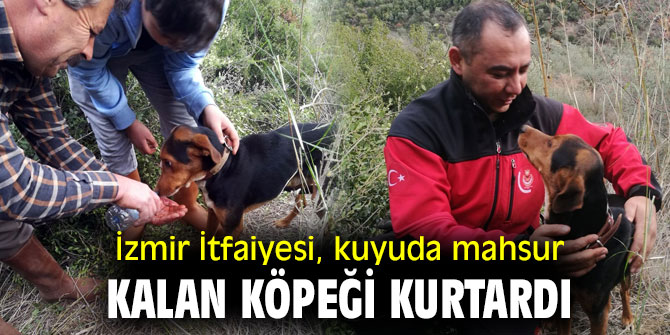 İzmir İtfaiyesi, av köpeğini kurtardı