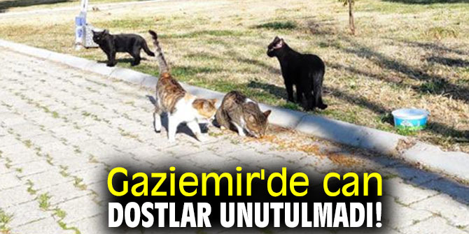 Gaziemir'de can dostlar unutulmadı!