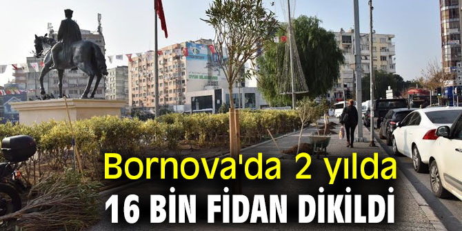 Bornova'da 2 yılda 16 bin fidan dikildi