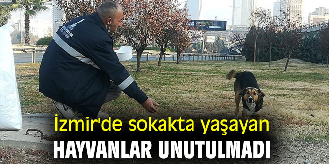 İzmir'de sokakta yaşayan hayvanlar unutulmadı