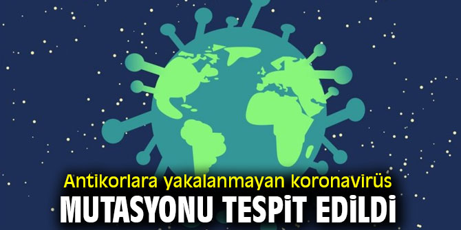 Bu koronavirüs antikorlara yakalanmıyor! 