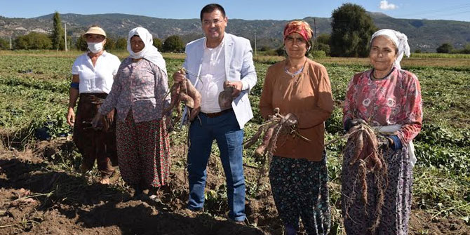 Milas, bölgenin parlayan yıldızı olacak