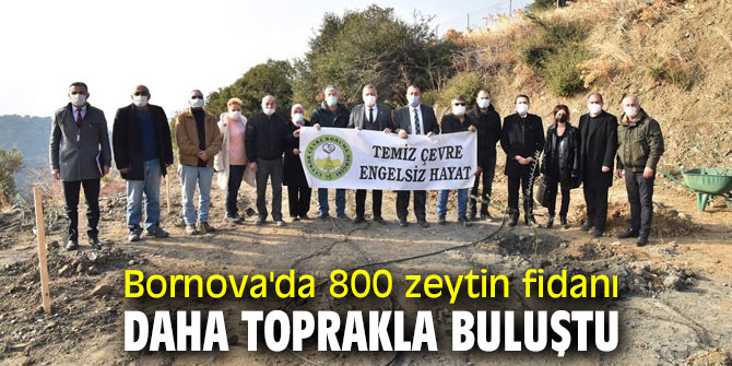 Bornova'da 800 zeytin fidanı daha toprakla buluştu
