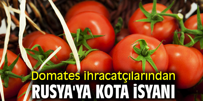 Domates ihracatçılarından Rusya'ya kota isyanı