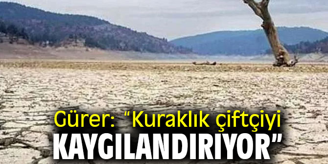 Gürer: “Çiftçiler icra kıskacında”