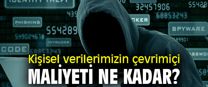 Kişisel verilerimizin çevrimiçi maliyeti ne kadar?