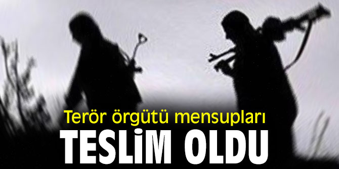 Terör örgütü mensupları teslim oldu