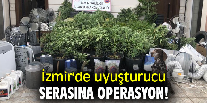İzmir'de uyuşturucu serasına operasyon! 