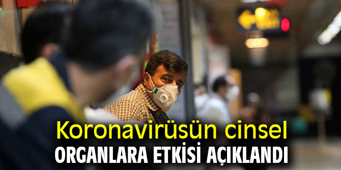 Koronavirüsün cinsel organlara etkisi açıklandı