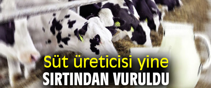 Gürer, “Süt referans fiyatı beklentinin altında kaldı”