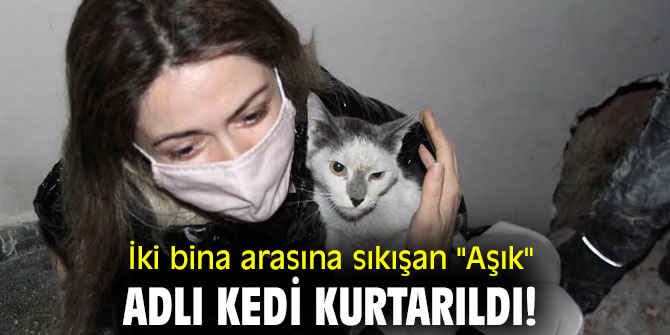 İki bina arasına sıkışan "Aşık" adlı kedi kurtarıldı!