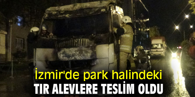 Park halindeki TIR alevlere teslim oldu