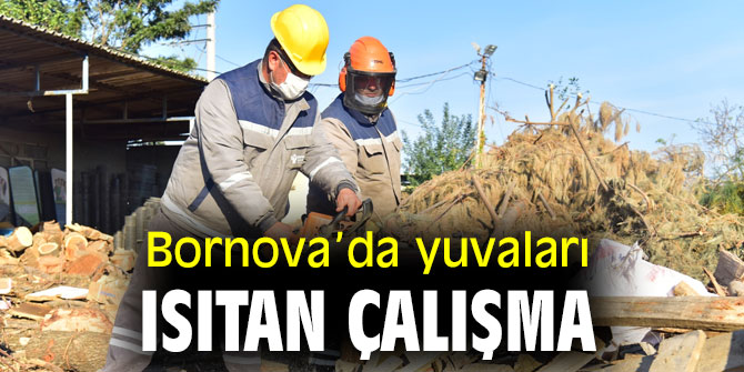 Bornova’da yuvaları ısıtan çalışma