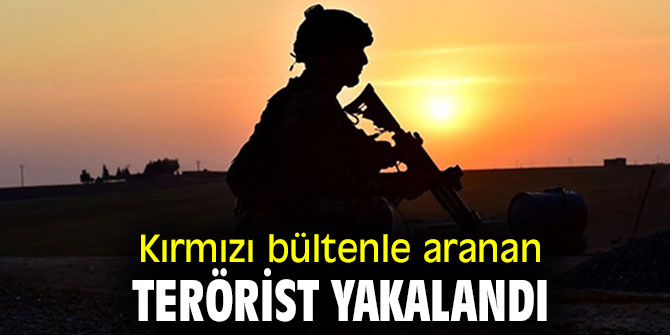 Kırmızı bültenle aranan terörist yakalandı