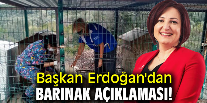 Başkan Erdoğan'dan barınak açıklaması!