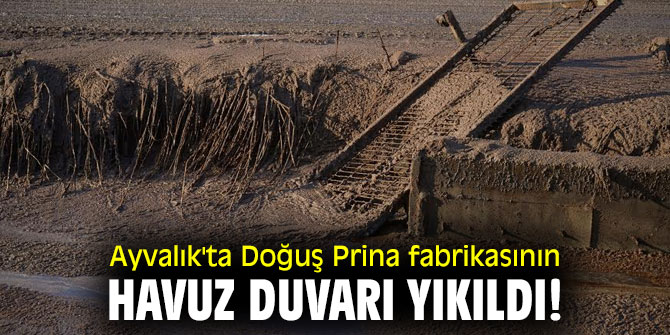 Ayvalık'ta Doğuş Prina fabrikasının havuz duvarı yıkıldı!